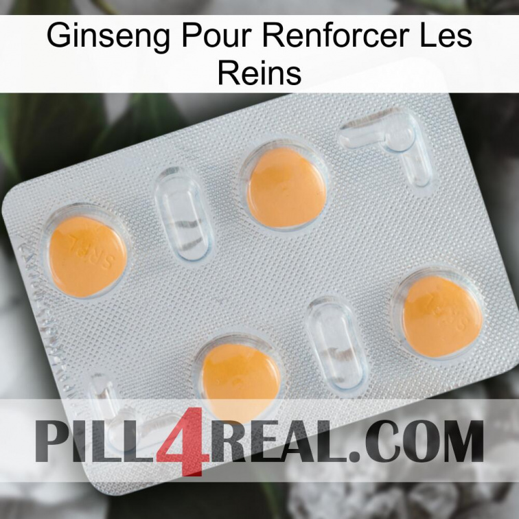 Ginseng For Reinforcing Kidney 24